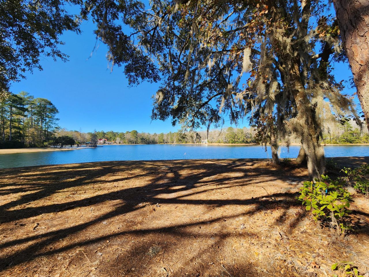 88 Tomotley Barony Drive Photo 5