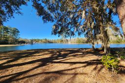 88 Tomotley Barony Drive photo 4