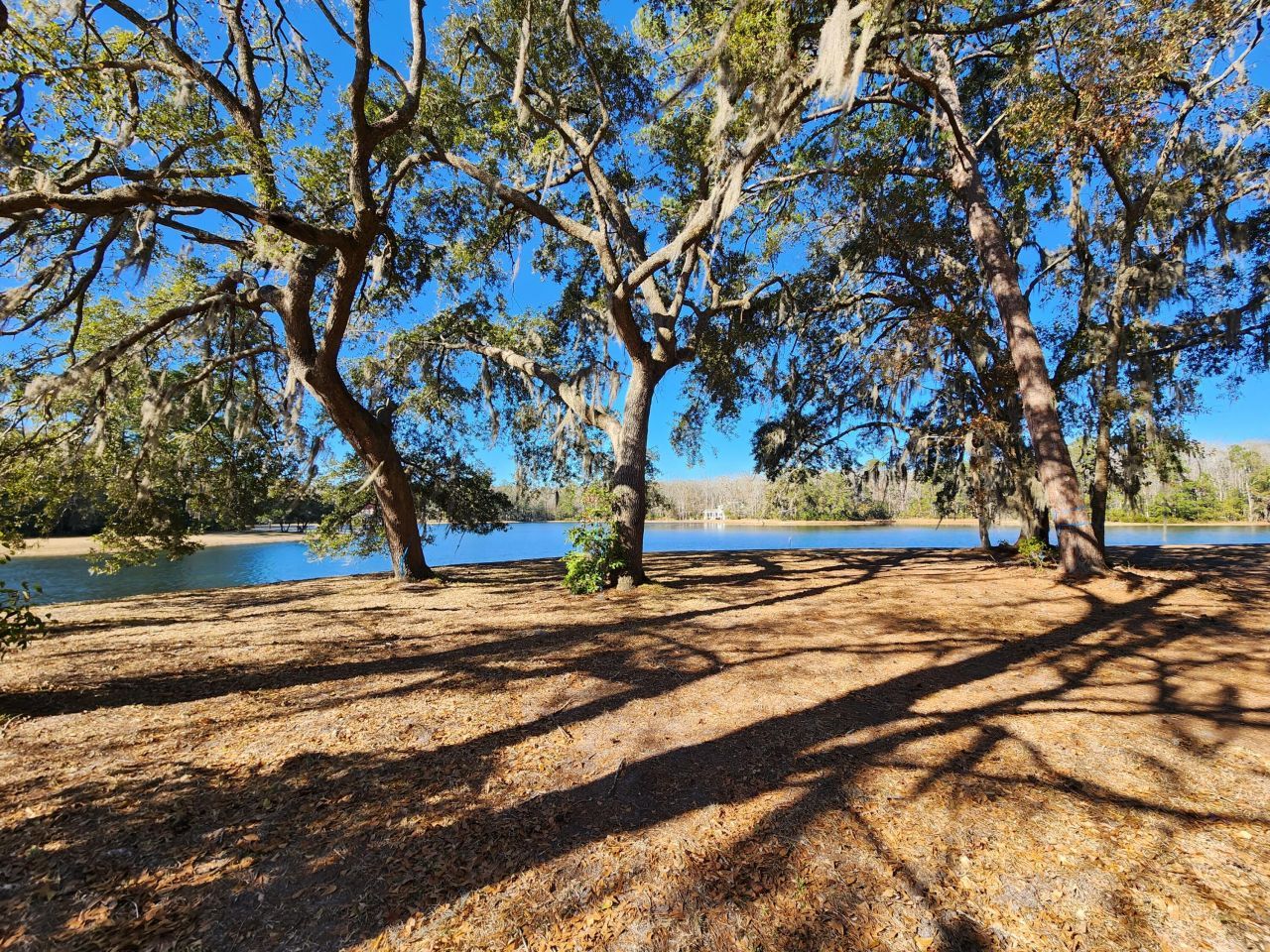 88 Tomotley Barony Drive Photo 6