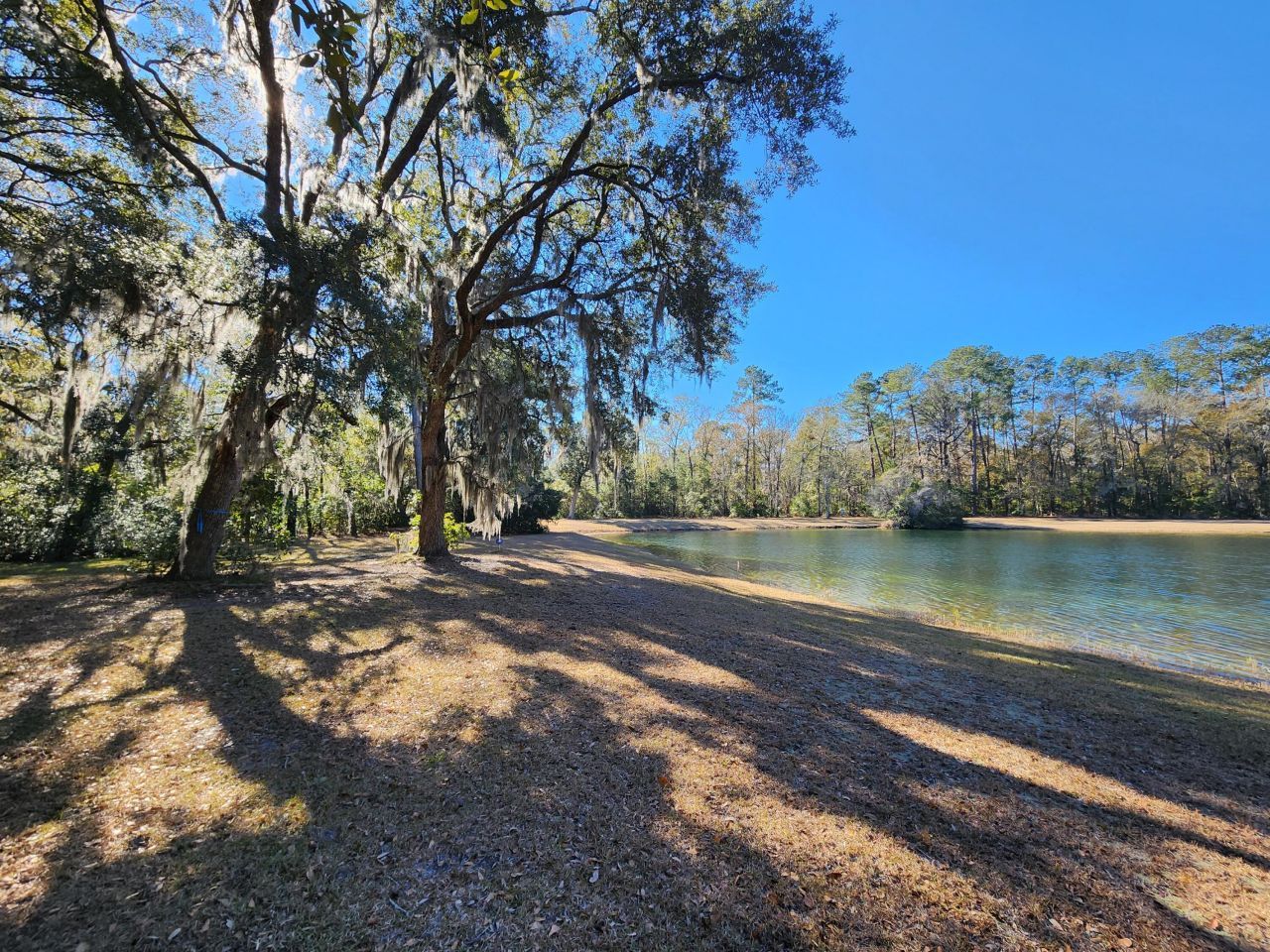 88 Tomotley Barony Drive Photo 7