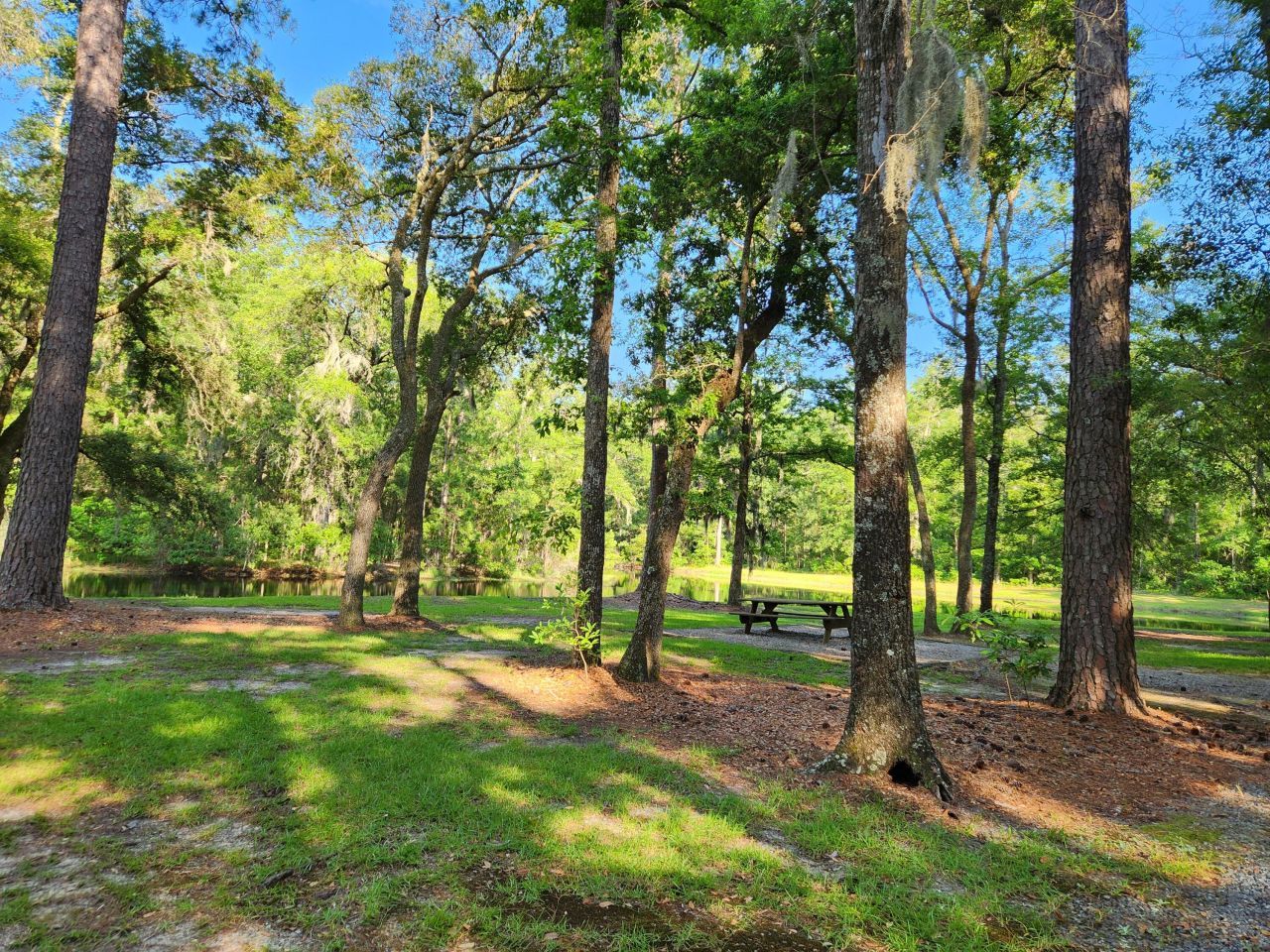 88 Tomotley Barony Drive Photo 71