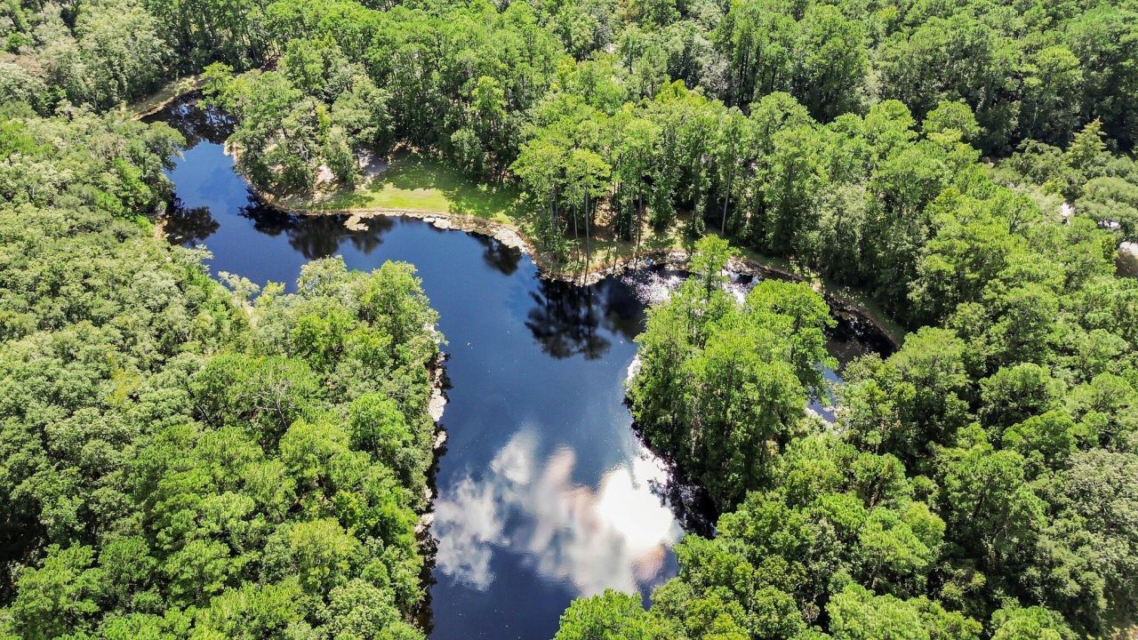 88 Tomotley Barony Drive Photo 74