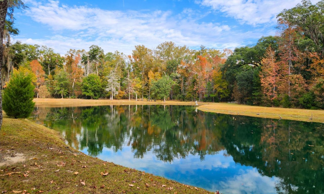 88 Tomotley Barony Drive Photo 75