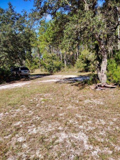 137 Franklin Avenue, Pomona Park, FL 32181 Photo