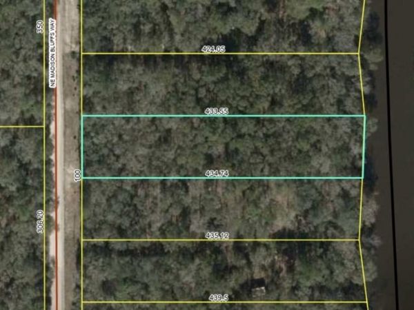Lot 12 NE MADISON BLUFFS Way, Lee, FL 32058