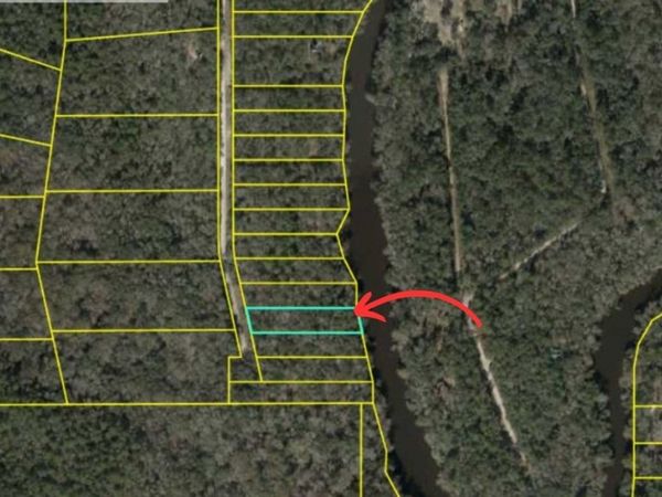 Lot 4 NE MADISON BLUFFS Way, Lee, FL 32058