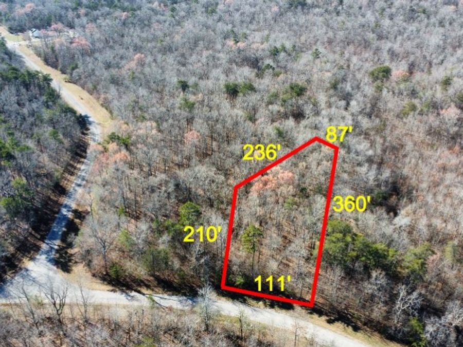 Property Image 11