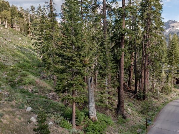 123 Larkspur Drive, Kirkwood, CA 95646