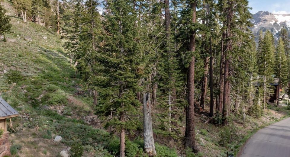 123 Larkspur Drive, Kirkwood, CA 95646 Photo