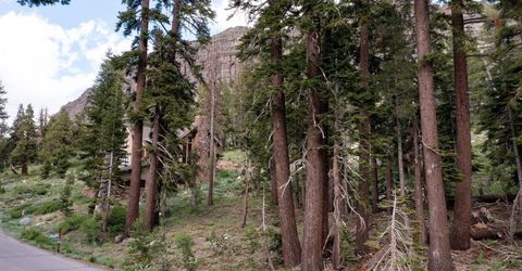 123 Larkspur Drive, Kirkwood, CA 95646 Photo