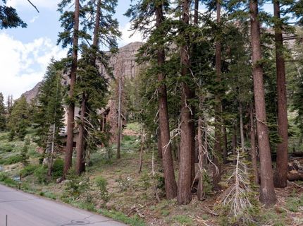 123 Larkspur Drive, Kirkwood, CA 95646 Photo