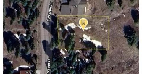 123 Larkspur Drive, Kirkwood, CA 95646 Photo