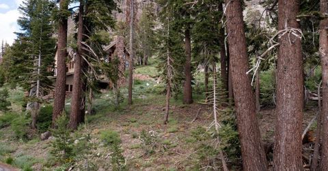 123 Larkspur Drive, Kirkwood, CA 95646 Photo