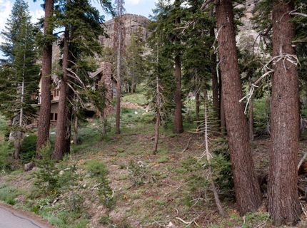 123 Larkspur Drive, Kirkwood, CA 95646 Photo