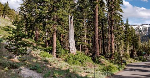 123 Larkspur Drive, Kirkwood, CA 95646 Photo