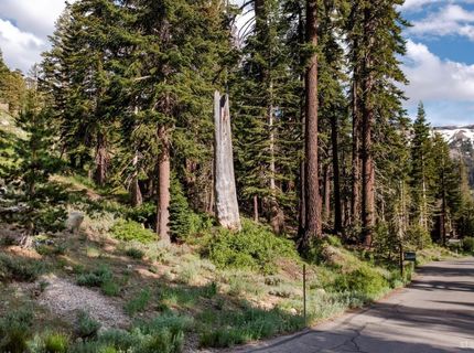 123 Larkspur Drive, Kirkwood, CA 95646 Photo