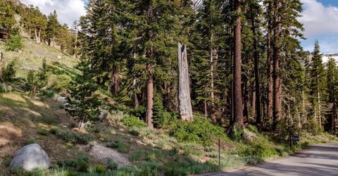 123 Larkspur Drive, Kirkwood, CA 95646 Photo