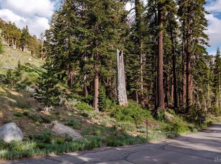 123 Larkspur Drive, Kirkwood, CA 95646 Photo