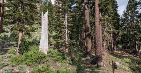 123 Larkspur Drive, Kirkwood, CA 95646 Photo