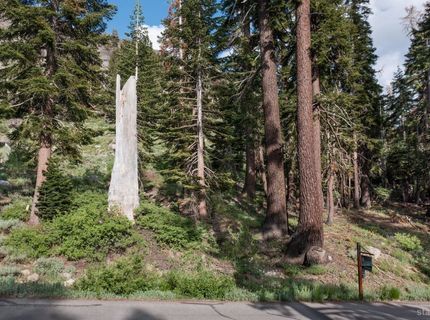 123 Larkspur Drive, Kirkwood, CA 95646 Photo