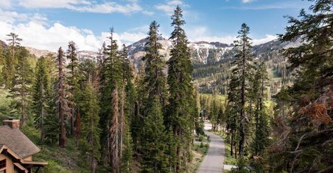 123 Larkspur Drive, Kirkwood, CA 95646 Photo