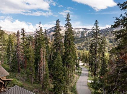 123 Larkspur Drive, Kirkwood, CA 95646 Photo