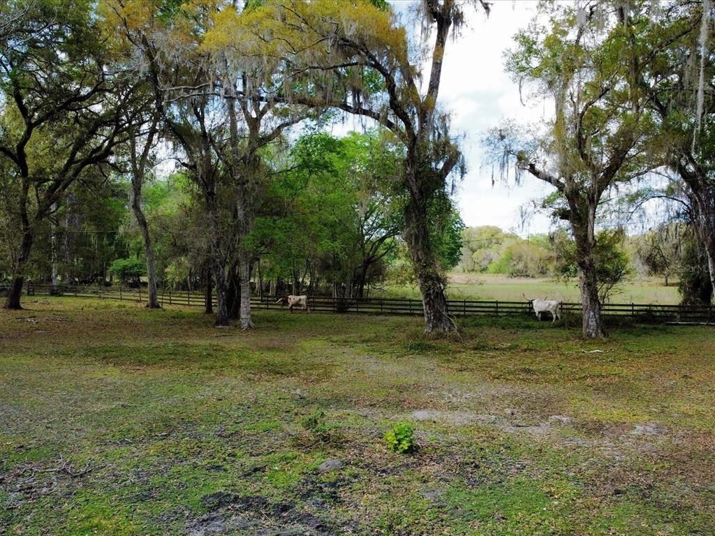 10820 SW 31st Way, Webster, FL 33597 Photo