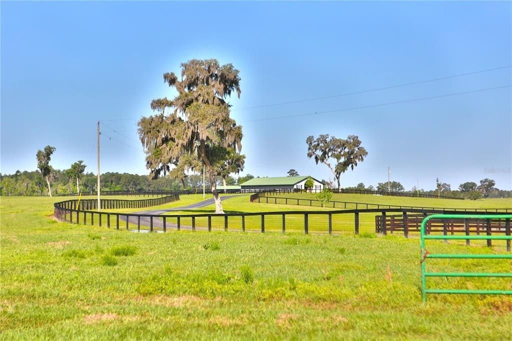 13375 W Highway 318, Williston, FL 32696 Photo