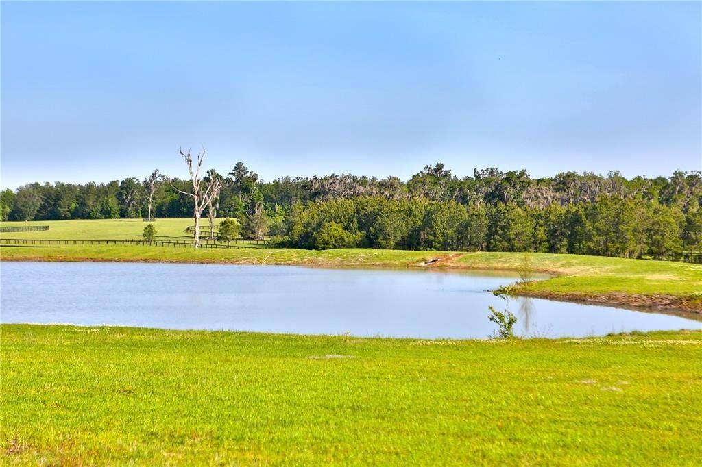 13375 W Highway 318, Williston, FL 32696 Photo