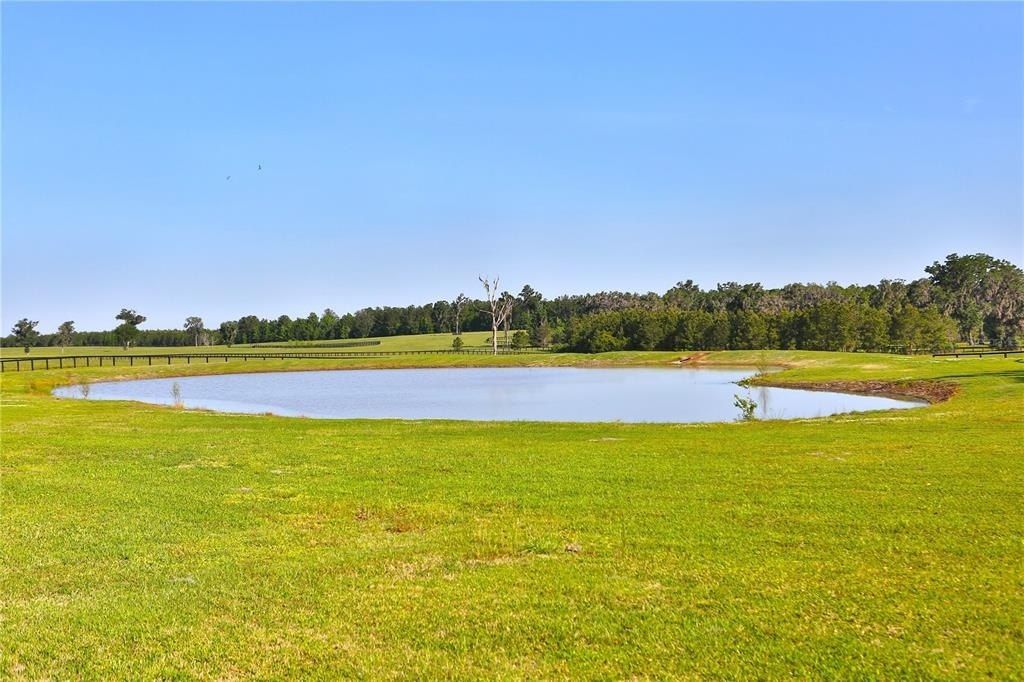 13375 W Highway 318, Williston, FL 32696 Photo