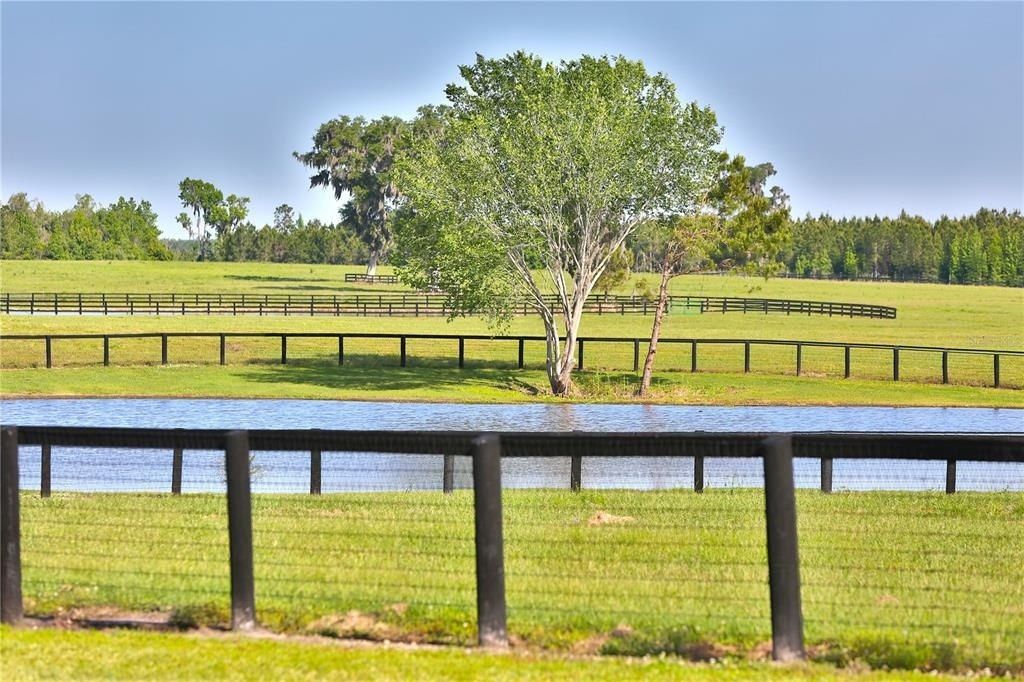 13375 W Highway 318, Williston, FL 32696 Photo