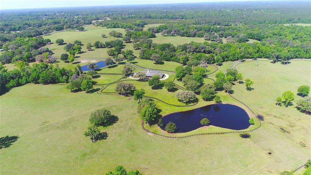 13375 W Highway 318, Williston, FL 32696 Photo