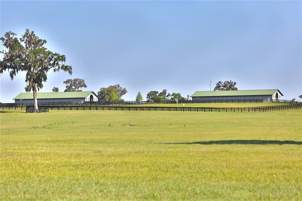 13375 W Highway 318, Williston, FL 32696 Photo