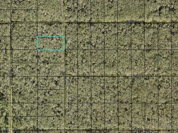 XXX RUTH AVE. AVENUE, HASTINGS, FL 32145