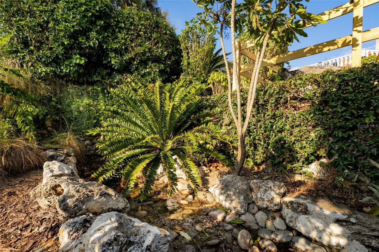 11148 Lane Park Road, Tavares, FL 32778 Photo