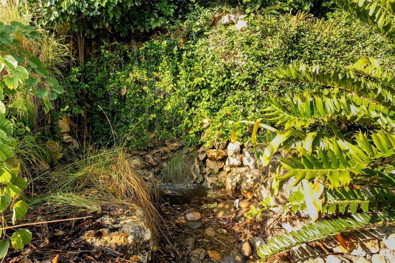 11148 Lane Park Road, Tavares, FL 32778 Photo