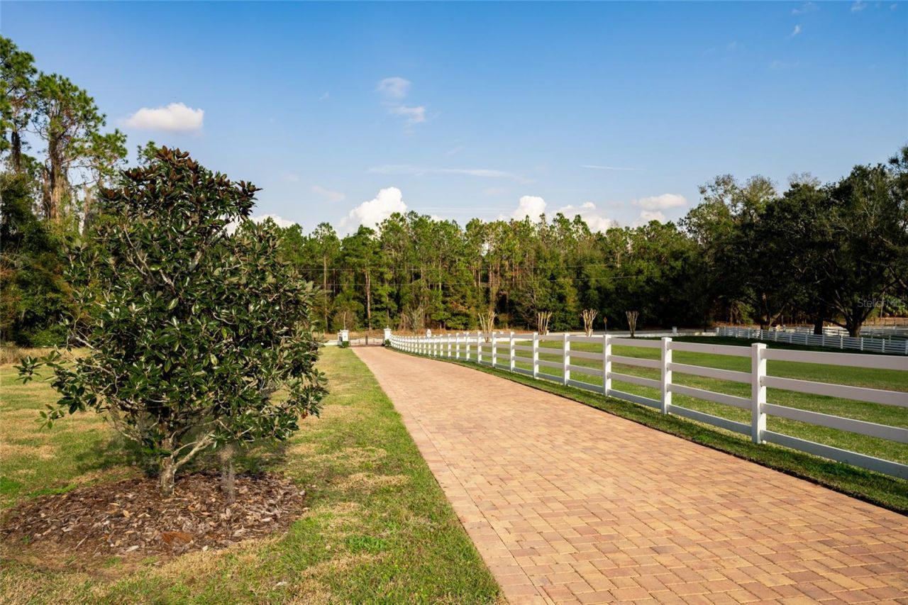 11148 Lane Park Road, Tavares, FL 32778 Photo