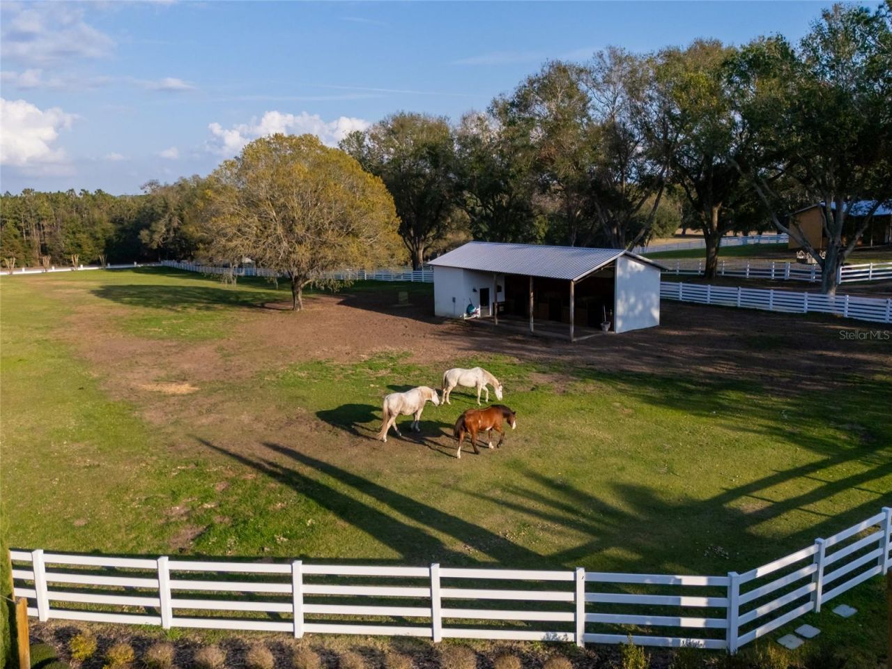 11148 Lane Park Road, Tavares, FL 32778 Photo