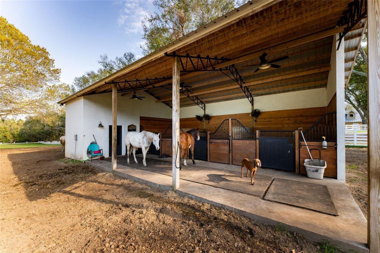 11148 Lane Park Road, Tavares, FL 32778 Photo