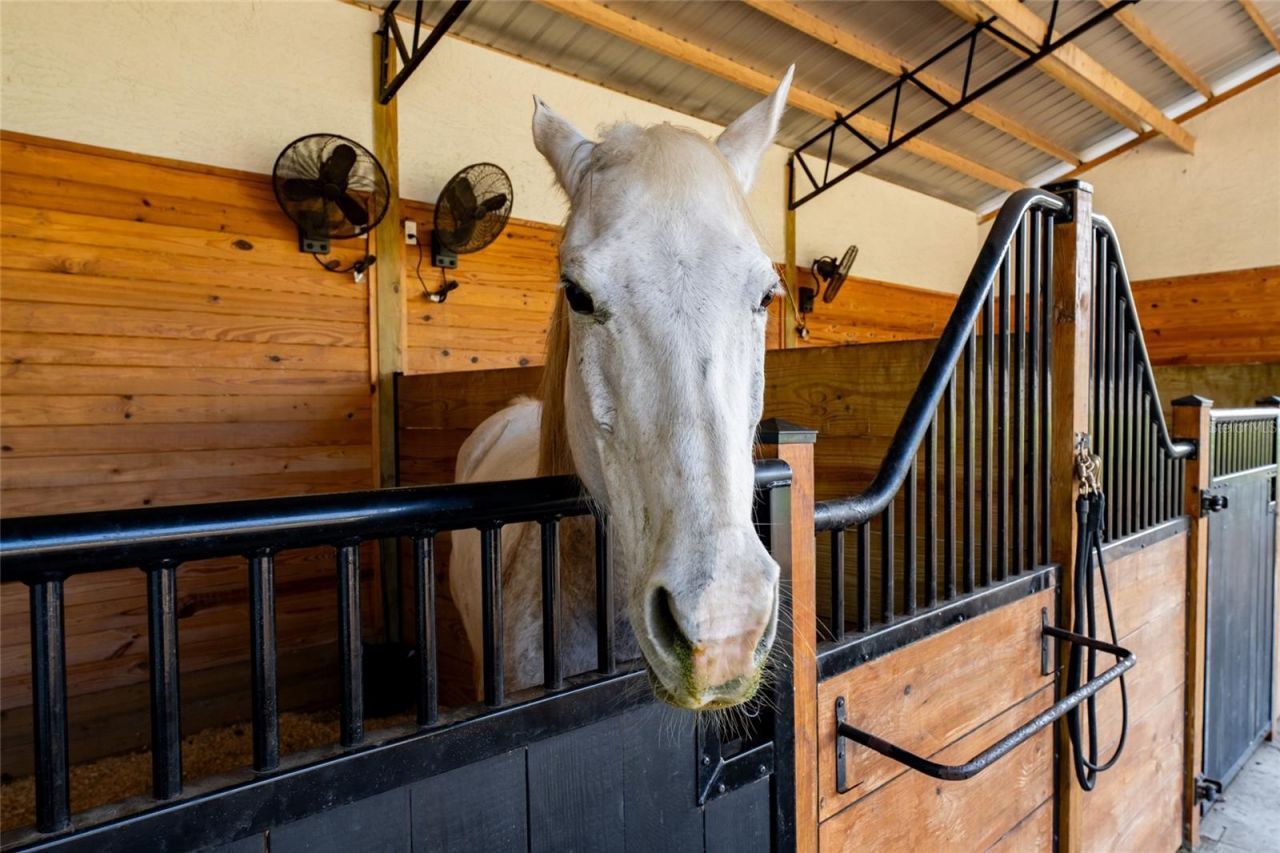 11148 Lane Park Road, Tavares, FL 32778 Photo