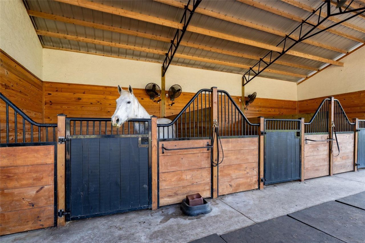 11148 Lane Park Road, Tavares, FL 32778 Photo