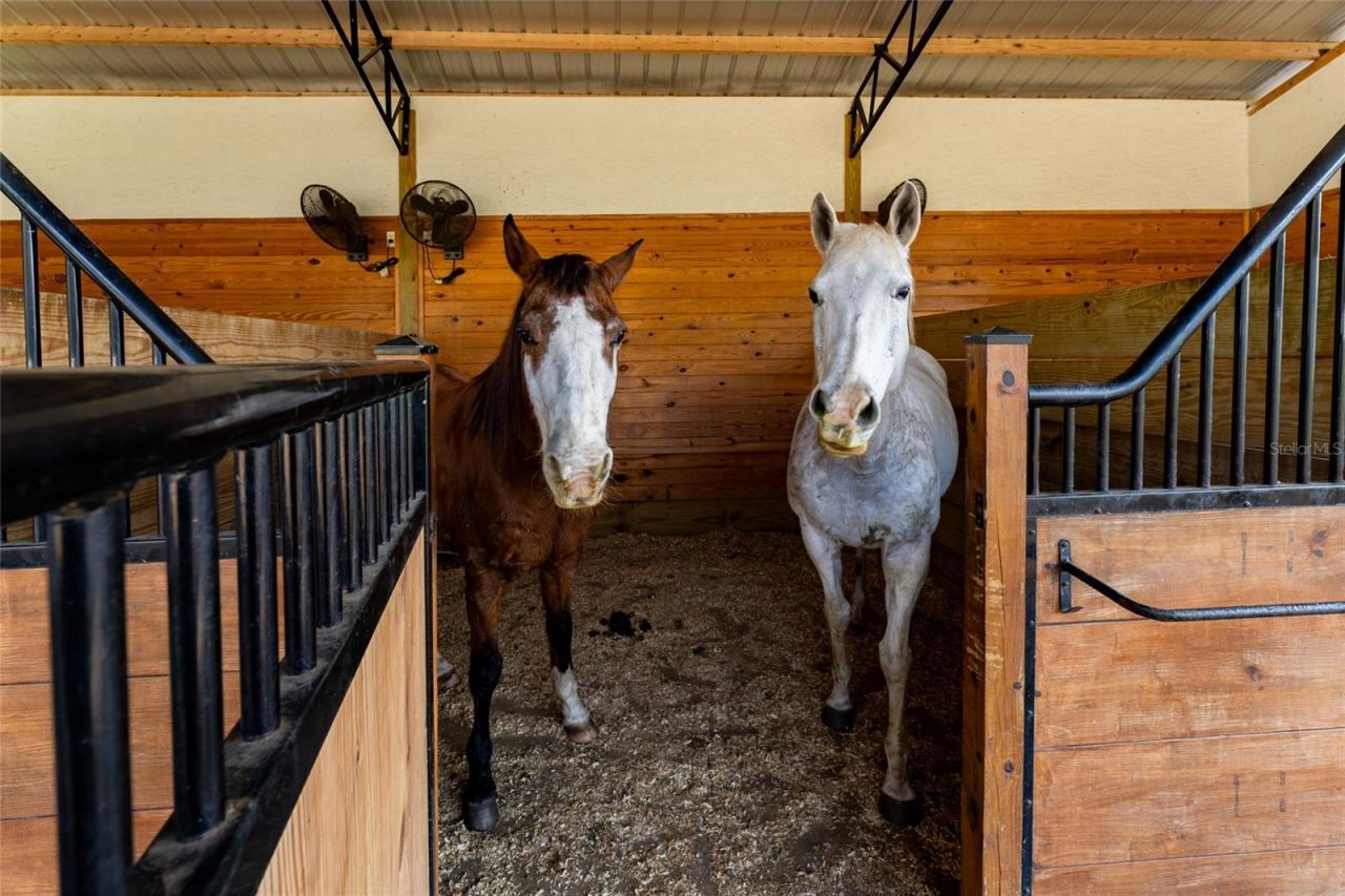 11148 Lane Park Road, Tavares, FL 32778 Photo