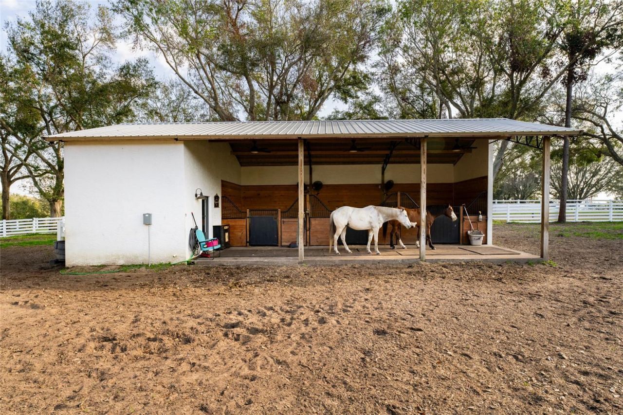 11148 Lane Park Road, Tavares, FL 32778 Photo