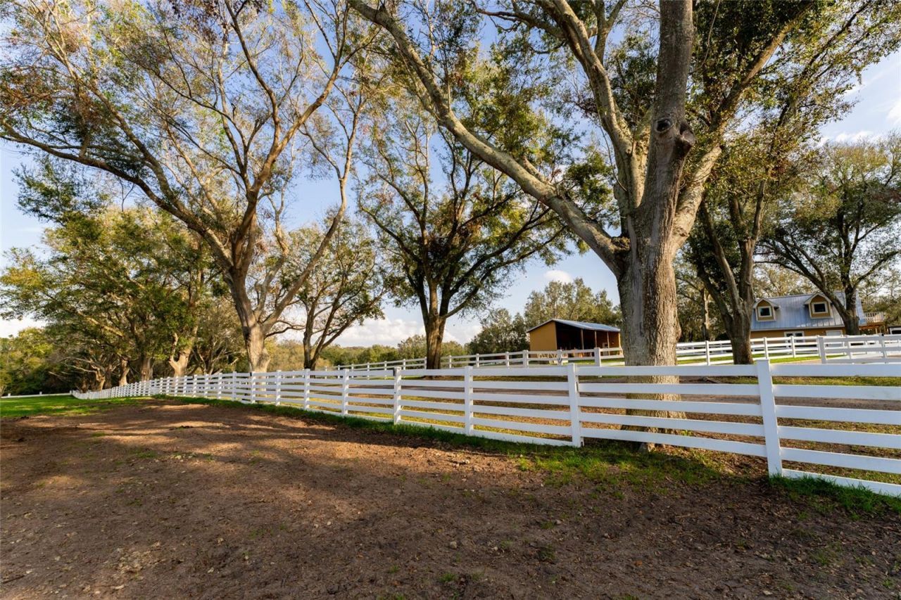 11148 Lane Park Road, Tavares, FL 32778 Photo