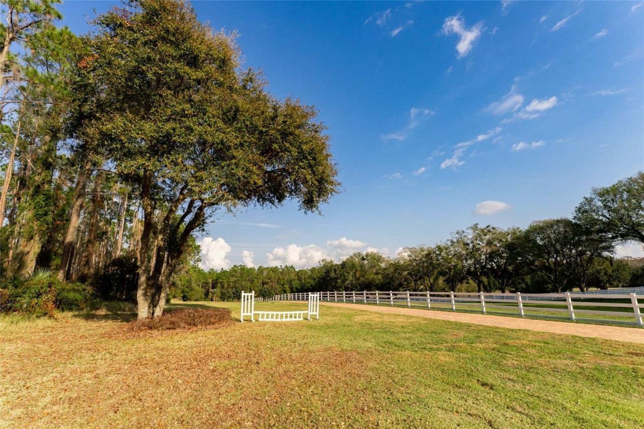 11148 Lane Park Road, Tavares, FL 32778 Photo