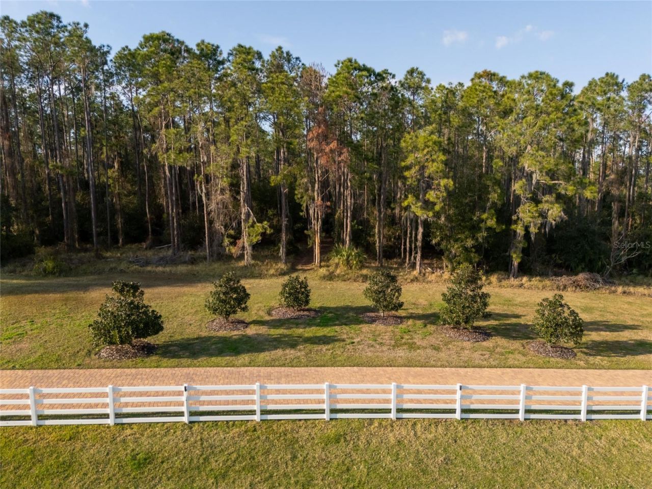 11148 Lane Park Road, Tavares, FL 32778 Photo