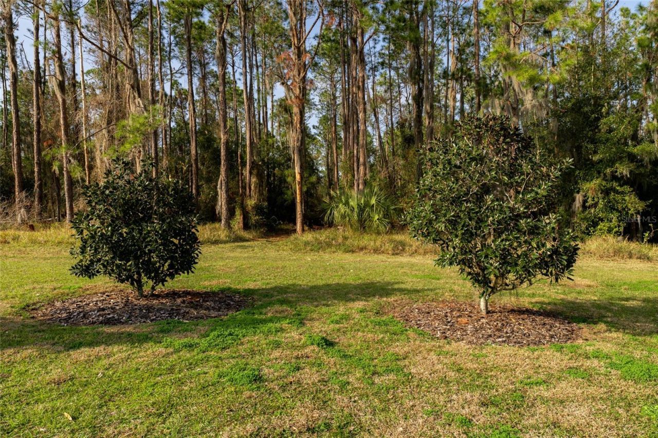 11148 Lane Park Road, Tavares, FL 32778 Photo