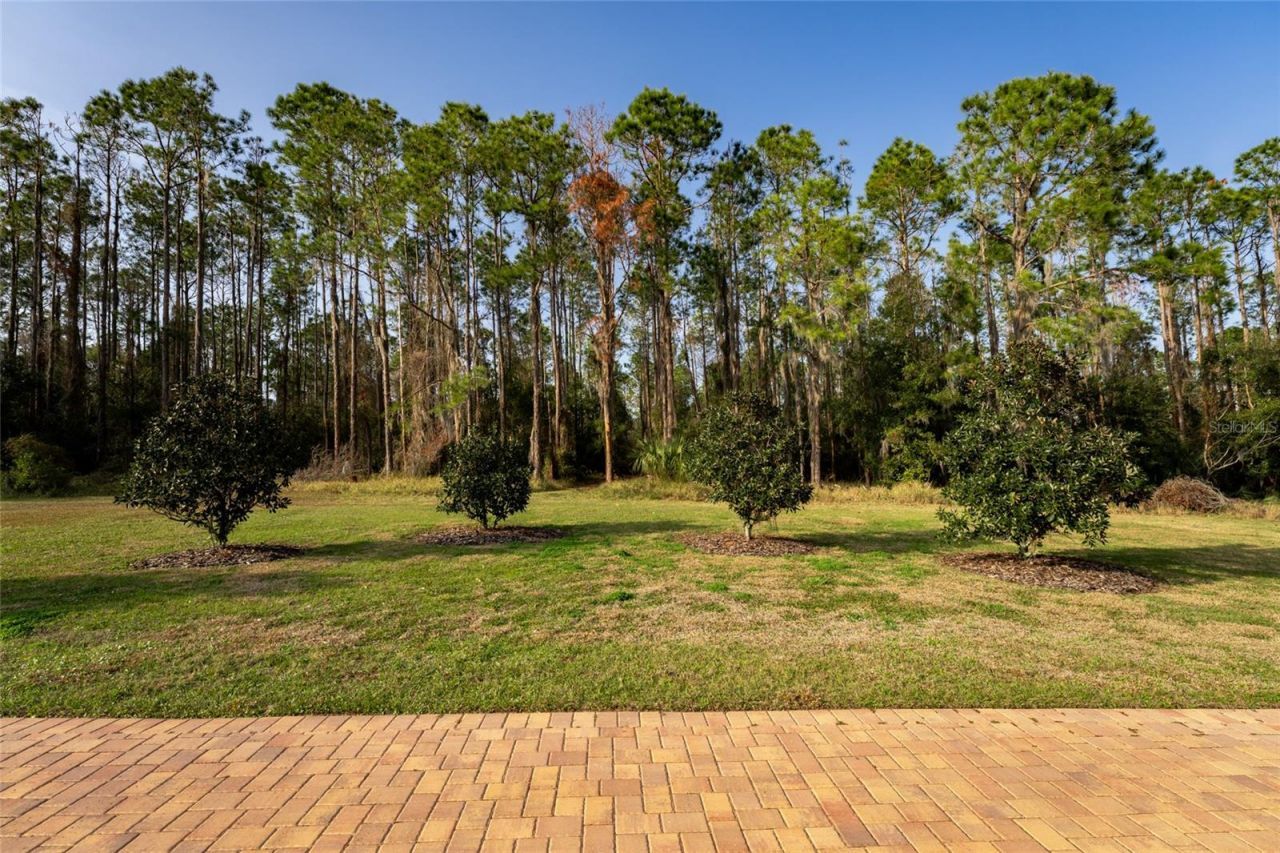 11148 Lane Park Road, Tavares, FL 32778 Photo