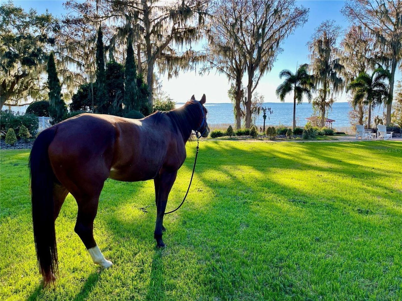 11148 Lane Park Road, Tavares, FL 32778 Photo