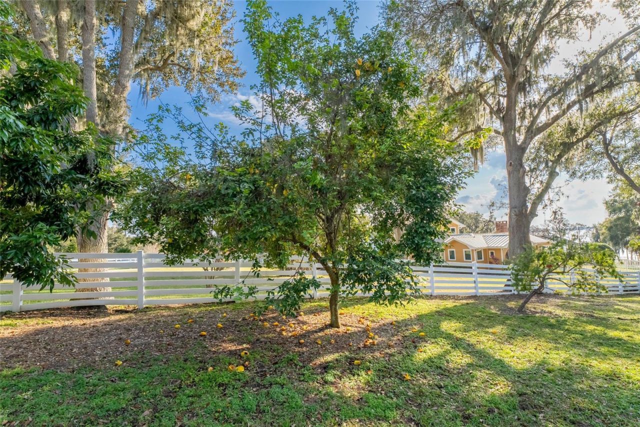 11148 Lane Park Road, Tavares, FL 32778 Photo